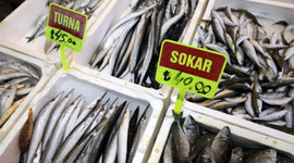 Olumsuz hava, balık fiyatlarını uçurdu