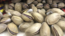 Antep fıstığı 94 ülkeye ihraç edildi