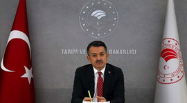 Bakan Pakdemirli üç sektöre yönelik desteklerin detaylarını paylaştı