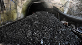 "Kara elmas"ın satışından 11 ayda 267 milyon 611 bin lira gelir