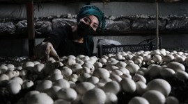 Doğu Anadolu'nun en büyük tesisi! Talebe yetişemiyorlar