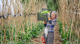 TMO: Tarım ürünlerinde fiyat artışı olursa devreye gireceğiz