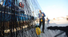 Karadeniz’de hamsi avı yasağı 7 Şubat'ta sona erecek