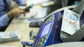 Ciro kaybı desteği başvuruları e-devlet üzerinden yapılacak