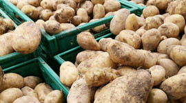 Şubatta en fazla fiyat düşüşü patateste en fazla fiyat artışı sivri biberde oldu