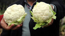 Martta en çok karnabaharın fiyatı arttı