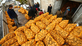 Cumhurbaşkanı Erdoğan'ın müjdesinin ardından depodaki patatesini TMO'ya satan Nevşehirli çiftçiler mutlu