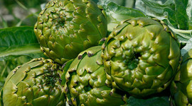 Enginardaki rekolte ve fiyat üreticinin yüzünü güldürdü