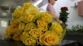 Anneler Günü öncesi gül satışları arttı