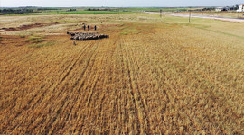 Kuraklıktan en az etkilenmek için çalışmalar başladı