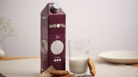 Koç'tan dev satın alma