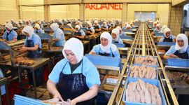 Dardanel, Yunan gıda şirketini satın alıyor