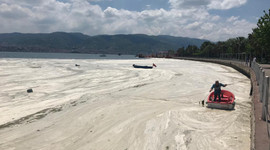 Bakanlıktan 'müsilaj' genelgesi