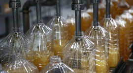 Ayçiçeği tohumundan 30 Haziran'dan sonra da gümrük vergisi alınmayacak