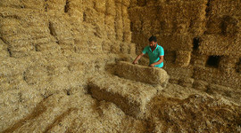 Saman fiyatları ikiye katlandı