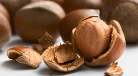 Fındık çoktan satılmış!