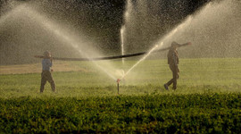 Tarım bünyesindeki tüm sektörlerle ihracatta atağa kalktı