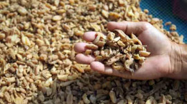 Kilosu bin liradan satılıyor