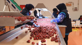 Dondurulmuş meyve sebze ihracatında hedef 250 milyon dolar