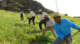 Çiftçiye büyük darbe!