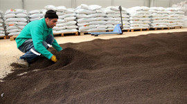 Gübre fiyatlarını artıracak gelişme