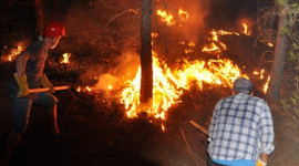 Bakan Bilgin: Orman yangınlarından etkilenenlerin sosyal güvenlik prim borçlarını 4 ay erteliyoruz