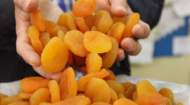 Malatya 291 milyon dolar kayısı ihraç etti