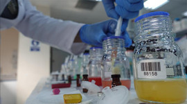 Kimya sektörünün ağustos ayı ihracatı 2 milyar doları aştı