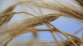 Vergi sıfırlandı! Erdoğan imzaadı