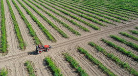 Tarımda gelecek yıl sulama ve altyapı yatırımlarına hız verilecek