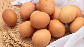 IŞİD, yumurtaya yarayacak!