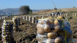 Cumhurbaşkanı Erdoğan'ın çağrısı sonrası hedef 500 milyon TL
