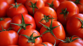 Domatesinin kilosu 80 kuruştan 4 liraya kadar çıktı