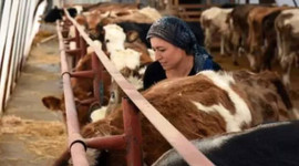 Devletten destek aldılar