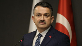 Pakdemirli açıkladı! 2 kat arttı