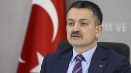 Bakan duyurdu: Zeytin üretimi yüzde 32 artacak!