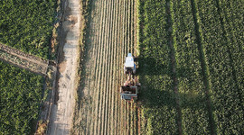 Kırsal kalkınma için 200 milyon TL hibe verilecek