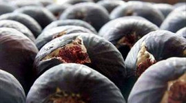 İncir ihracatçısı ‘hormon’ nöbetinde