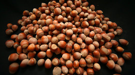 Türkiye fındık ihracatından 1,6 milyar dolar kazandı