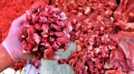 Kırmızı et fiyatlarını düşürecek karar!