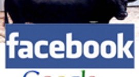 Facebook ve Google'la 'boğa' güreşi!