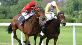 Spor Toto ve At Yarışları özelleşiyor