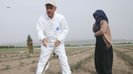 Bakan Kirişci: Buğdayda olumsuzluk yaşamayacağız