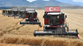 Tarım grubundan rekor ocak-mayıs ihracatı