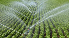 Tarımsal sulamada güneş enerjisine yapı ruhsatı muafiyeti