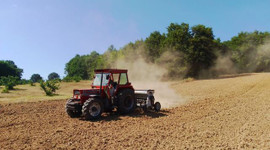 Tarımsal destek ödemeleri hesaplara aktarılıyor