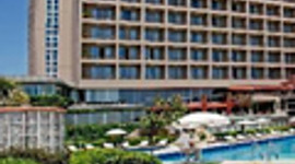 Yarım asırlık Çınar 125 milyon Euro'ya satılıyor