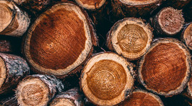 Yunanistan'da doğal gaz ve elektrik fiyatlarındaki artış odun fiyatlarına da yansıdı