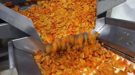 Türkiye, üretiminde lider olduğu kuru kayısıyı 115 ülkeye ihraç etti