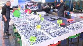 Karadeniz'de palamudun yerini hamsi aldı